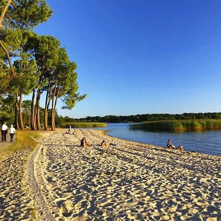 Hébergement de vacances Maison 6 Pers, Climatisee, Quartier Calme, Proche Dune Du Pyla Et Pistes Cyclables, Menage Inclus - Fr-1-319-426 Parentis-en-Born