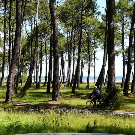 Maison 6 Pers, Climatisée, Quartier Calme, Proche Dune Du Pyla Et Pistes Cyclables, Ménage Inclus - Fr-1-319-426 Hébergement de vacances Parentis-en-Born