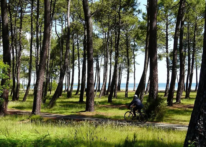 Maison 6 Pers, Climatisee, Quartier Calme, Proche Dune Du Pyla Et Pistes Cyclables, Menage Inclus - Fr-1-319-426 Дом отдыха Паранти-ан-Борн